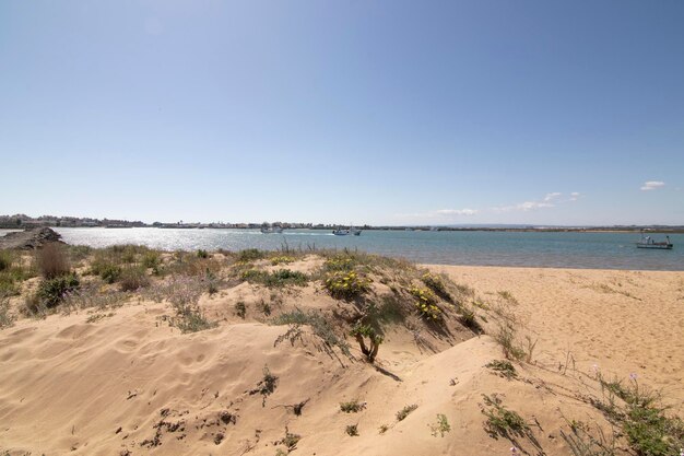 Purenudism Nudist Beach